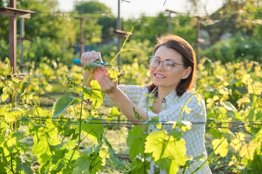 How Claire Was Able To Garden Again Without Pain