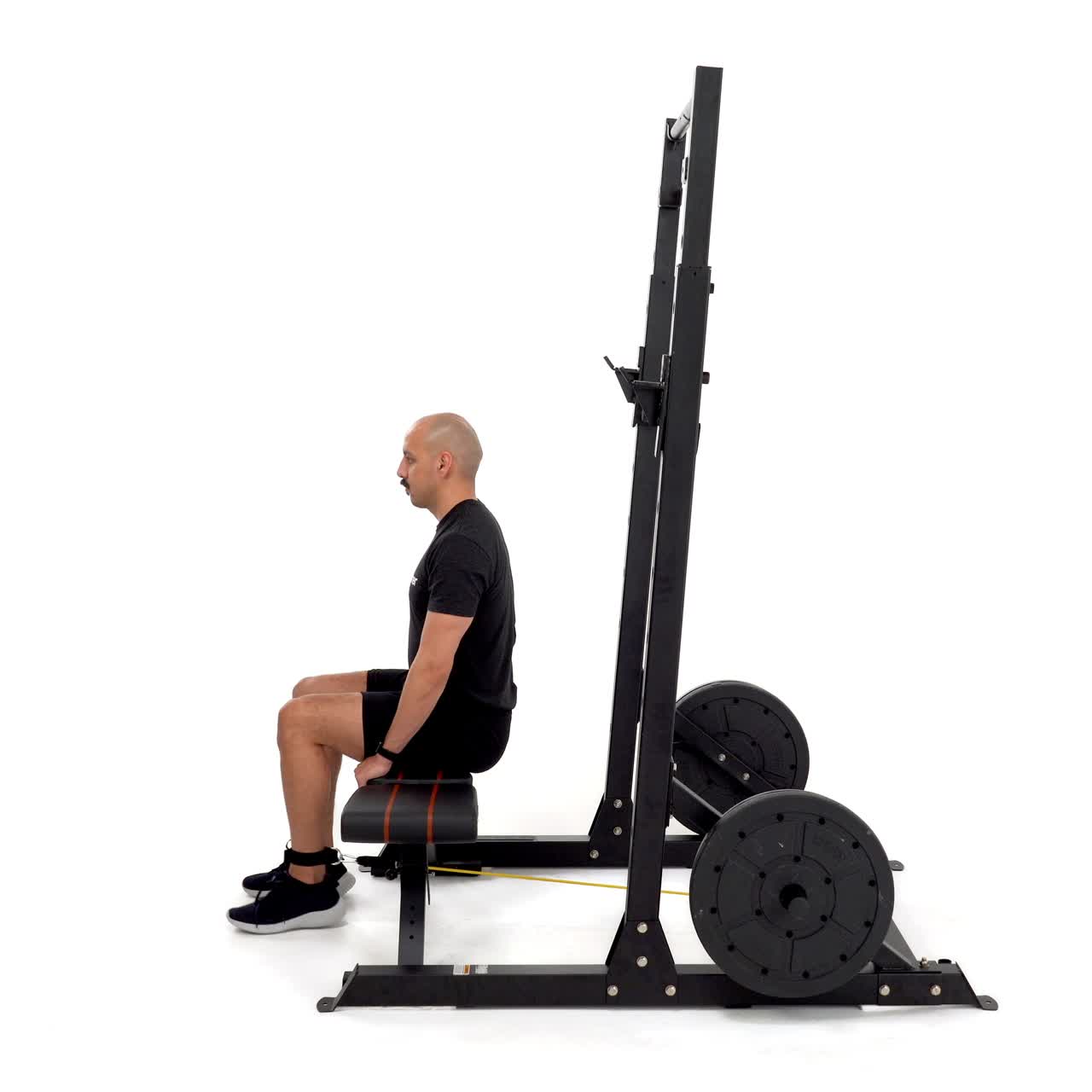 Band Leg Extension with trainwell