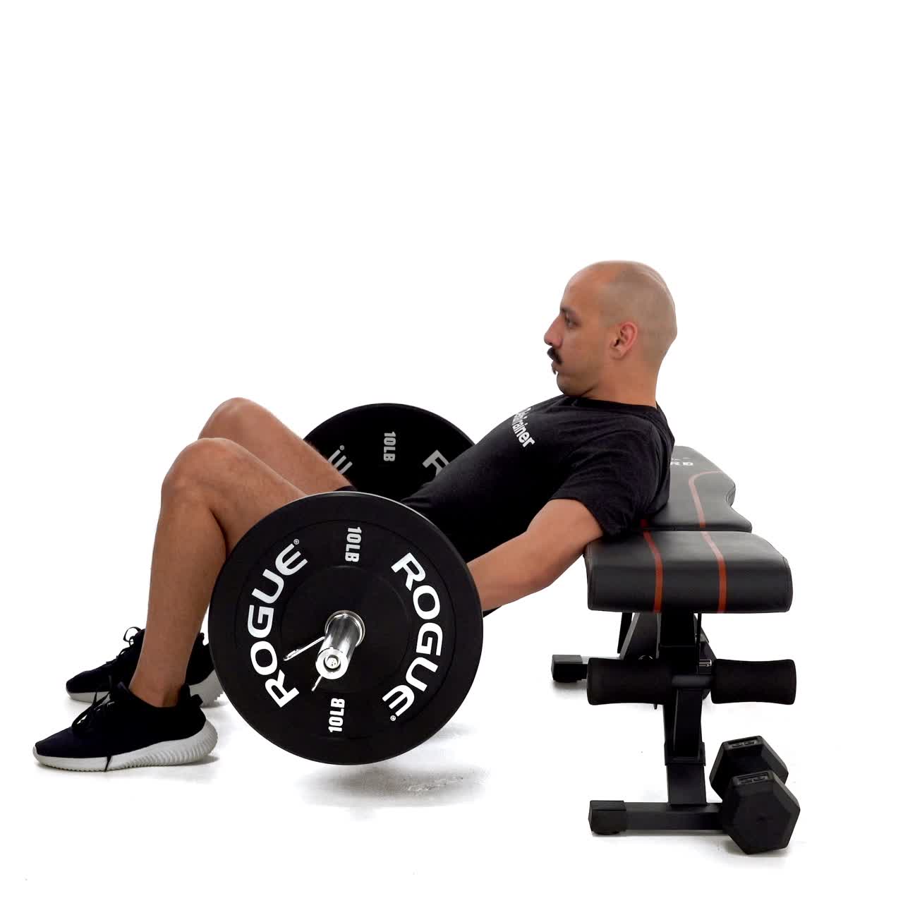 Barbell Hip Thrust with trainwell