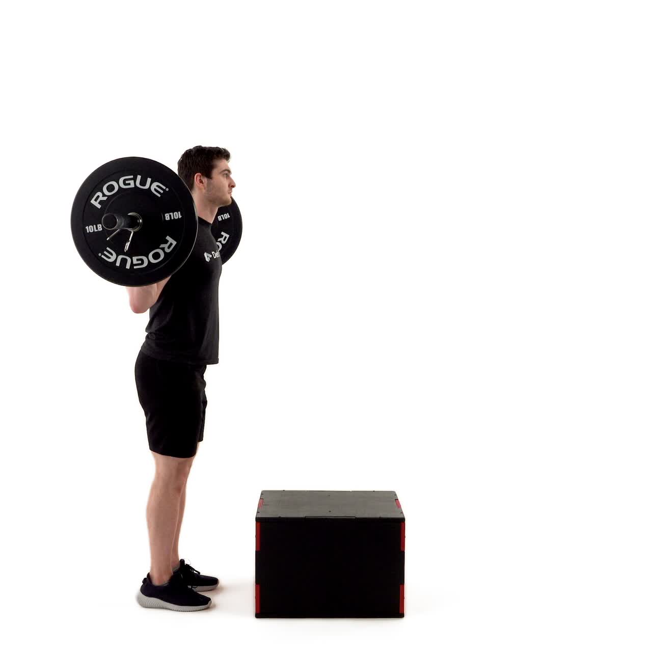 Barbell Step Up with trainwell