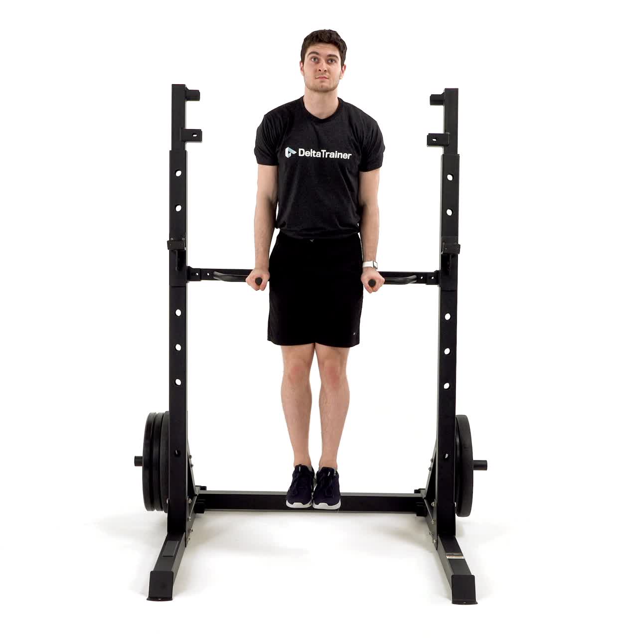 Dip Position Alt Leg Raise with trainwell