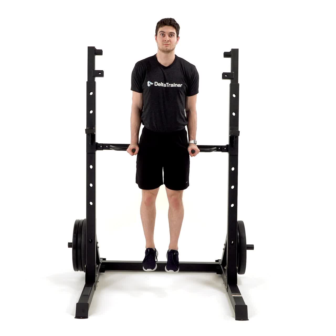 Dip Position Shrug with trainwell