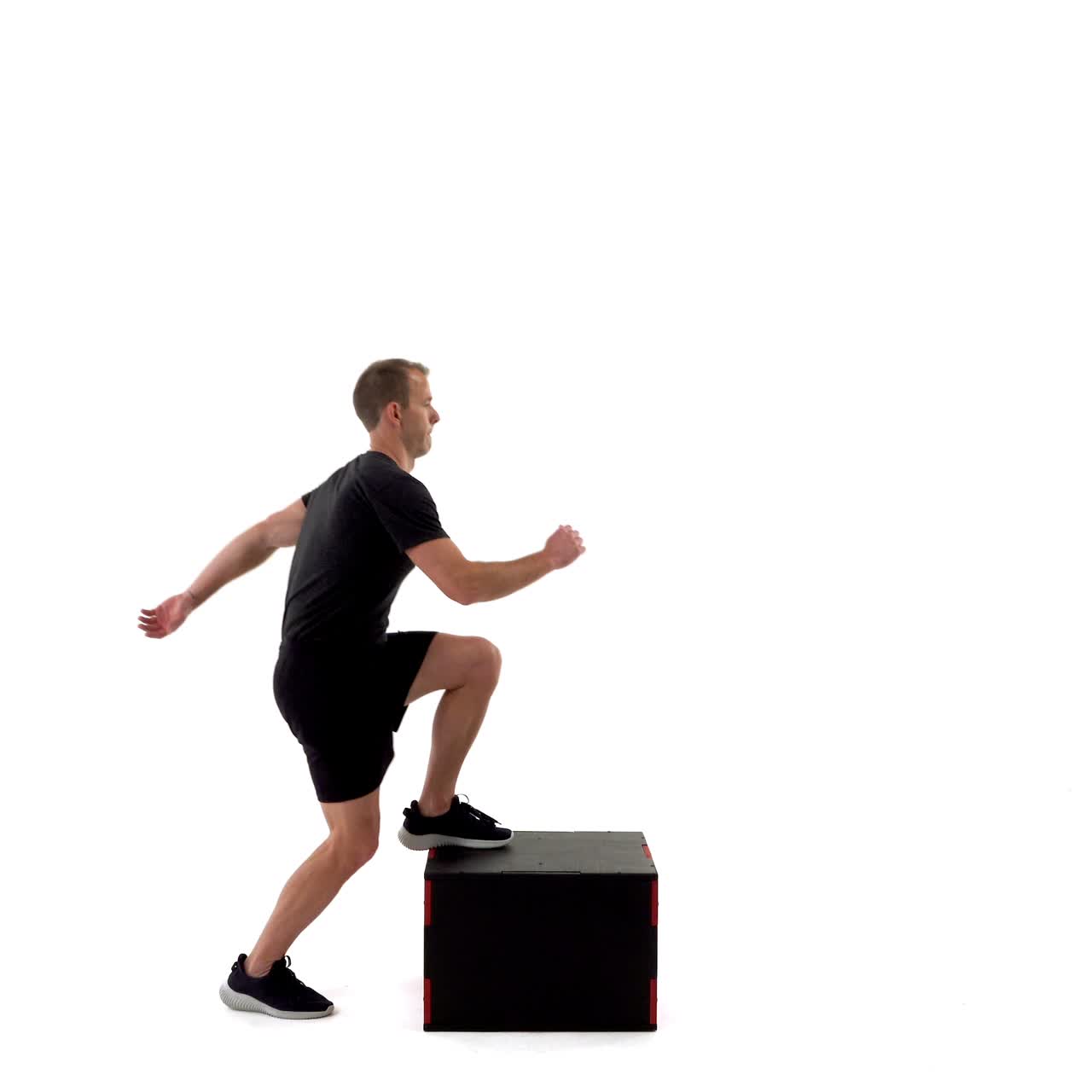Bodyweight Power Step Up with trainwell