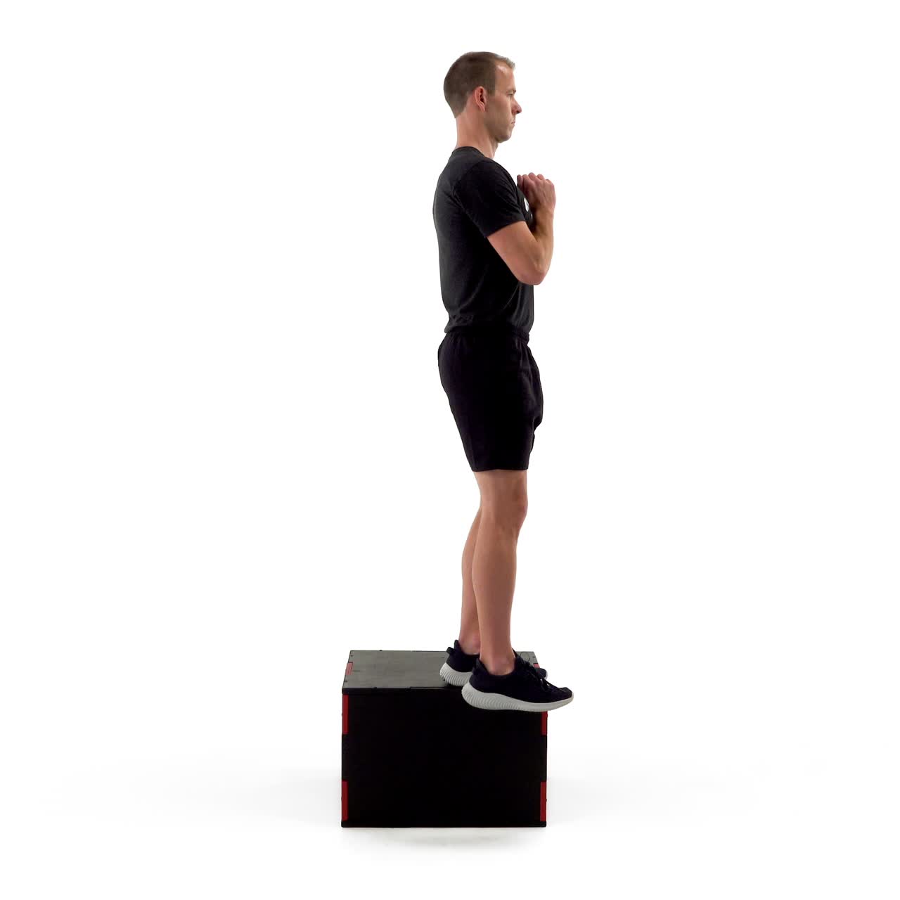 Bodyweight Step Down with trainwell