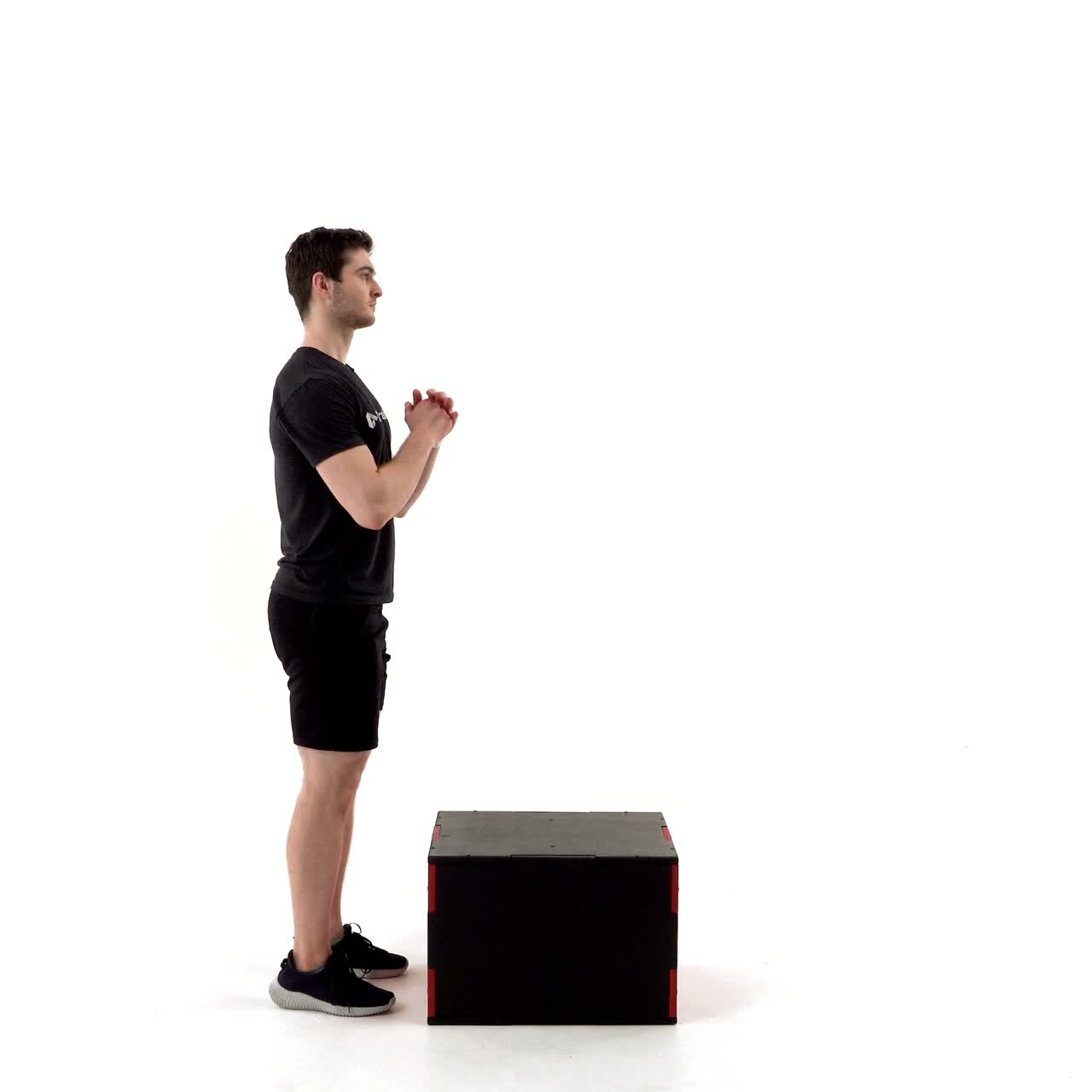 Bodyweight Step Up with trainwell