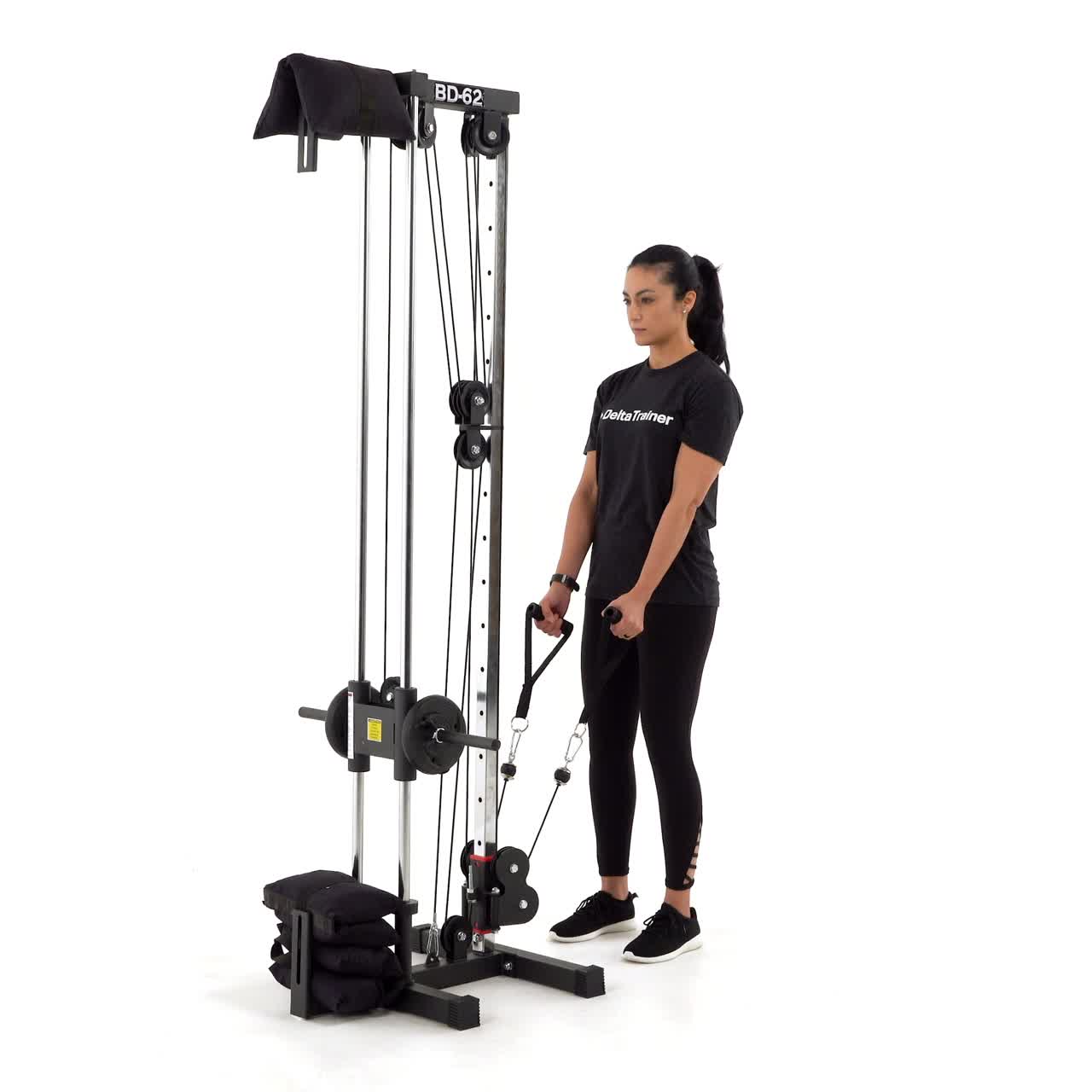 Cable Hammer Curl with trainwell
