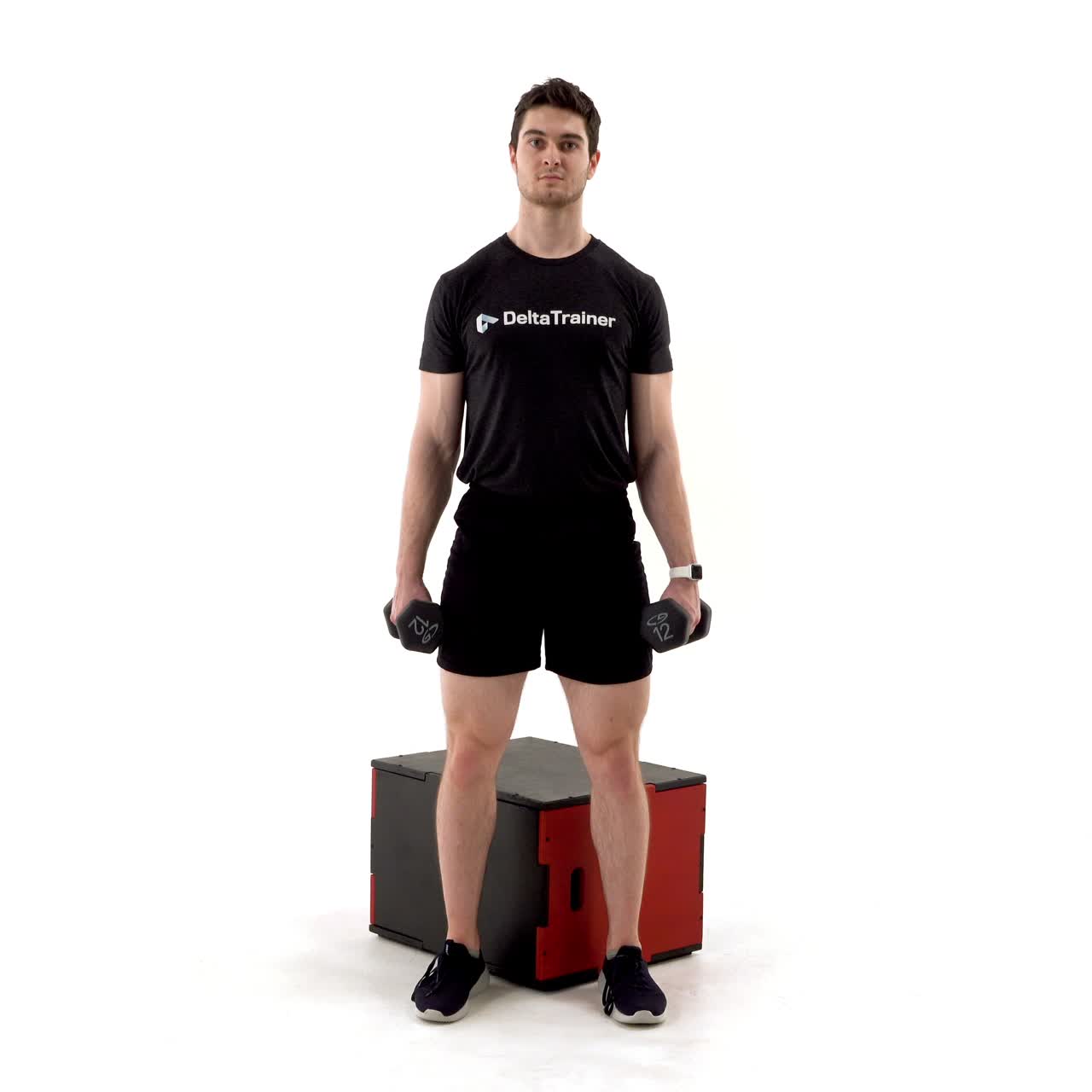 Dumbbell Box Squat with trainwell