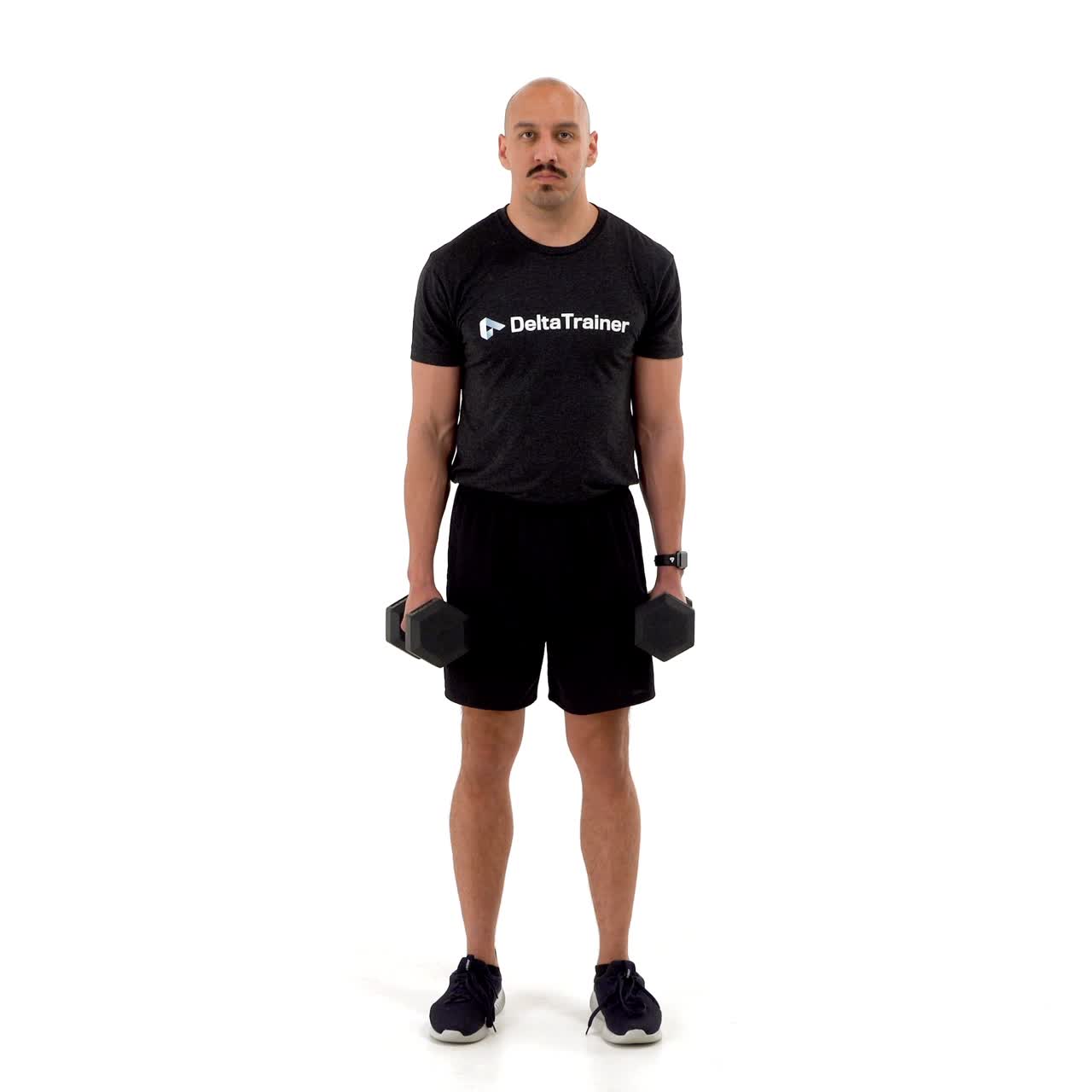 Dumbbell Hammer Curl with trainwell