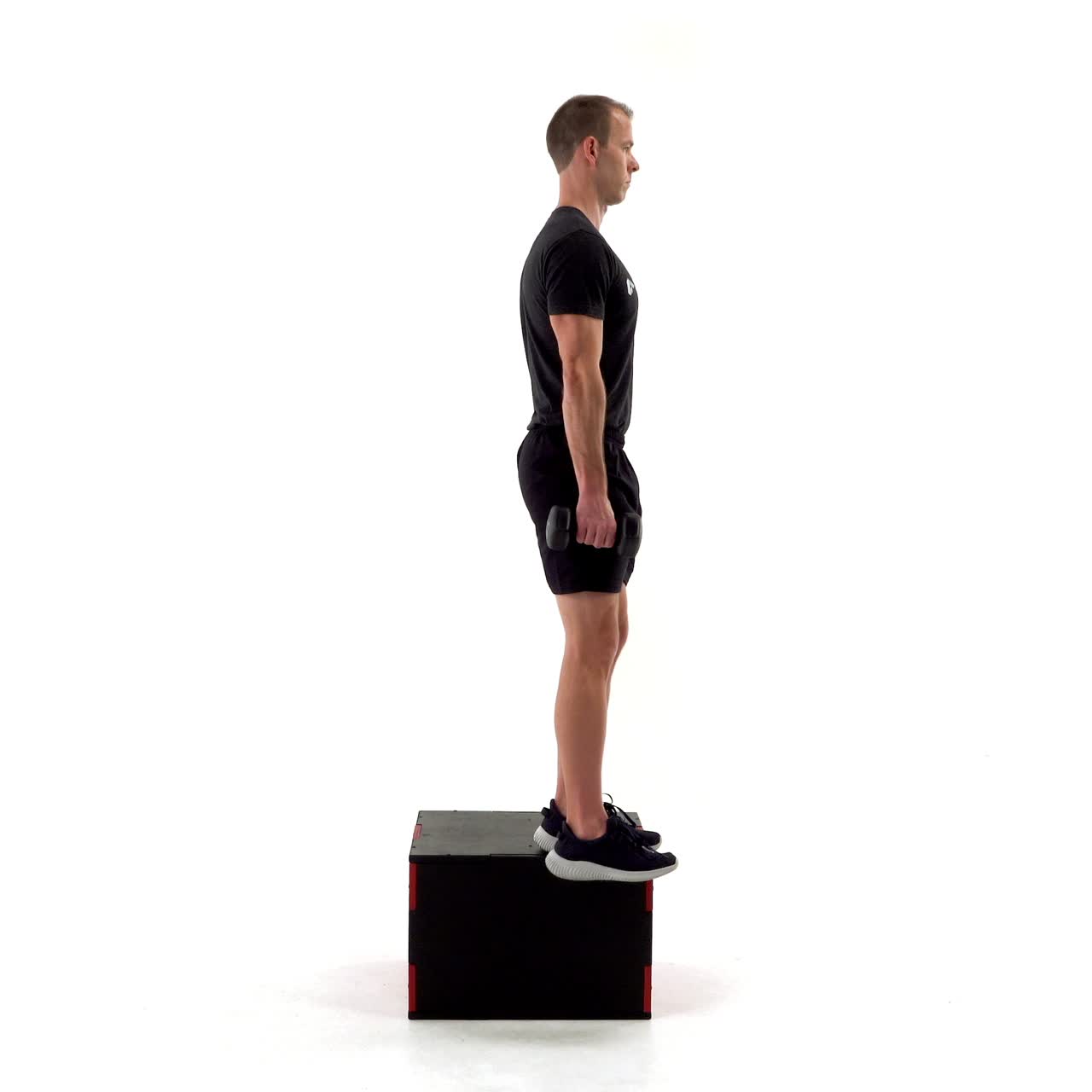 Dumbbell Step Down with trainwell