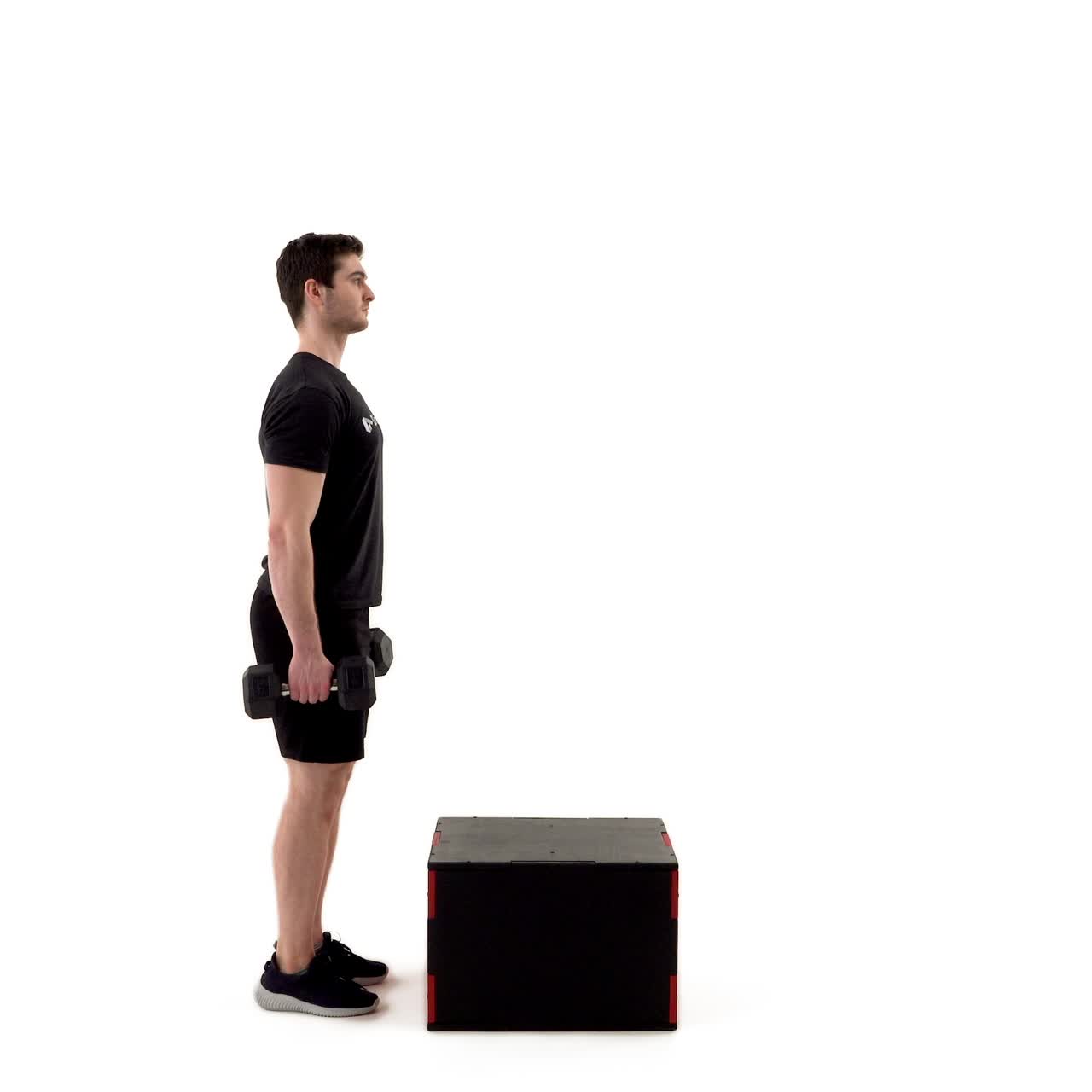 Dumbbell Step Up with trainwell