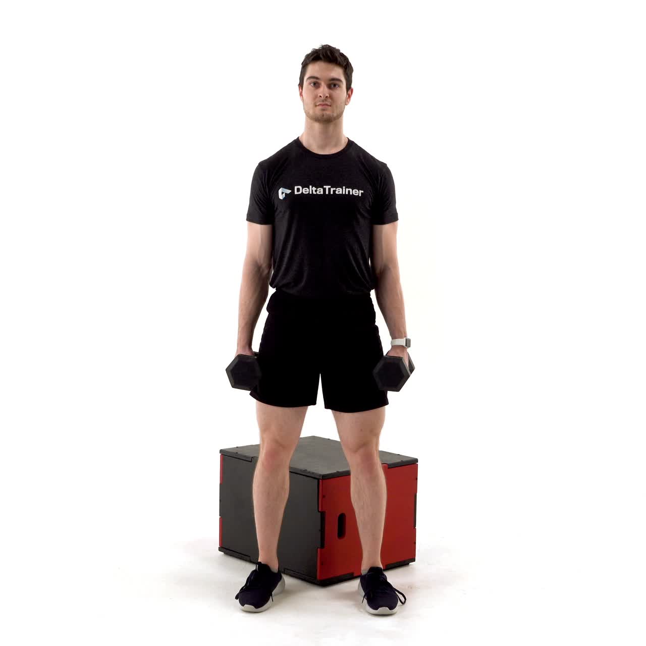 West Side Dumbbell Box Squat with trainwell