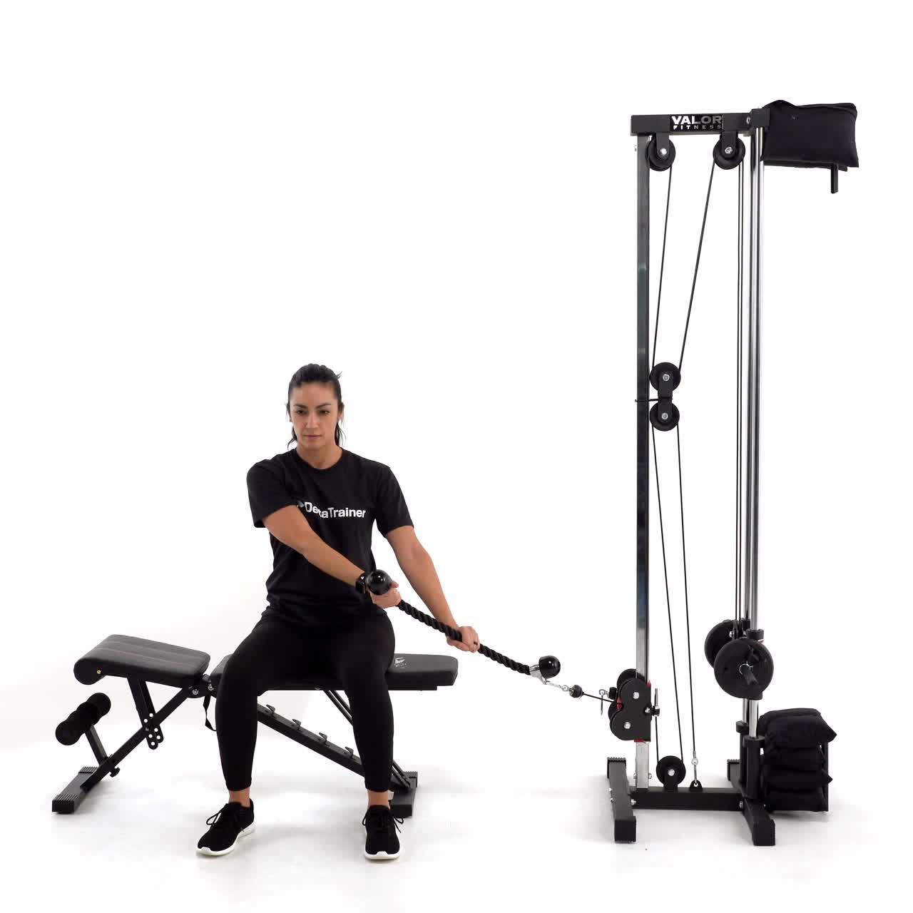 Seated Cable Lumberjack with trainwell