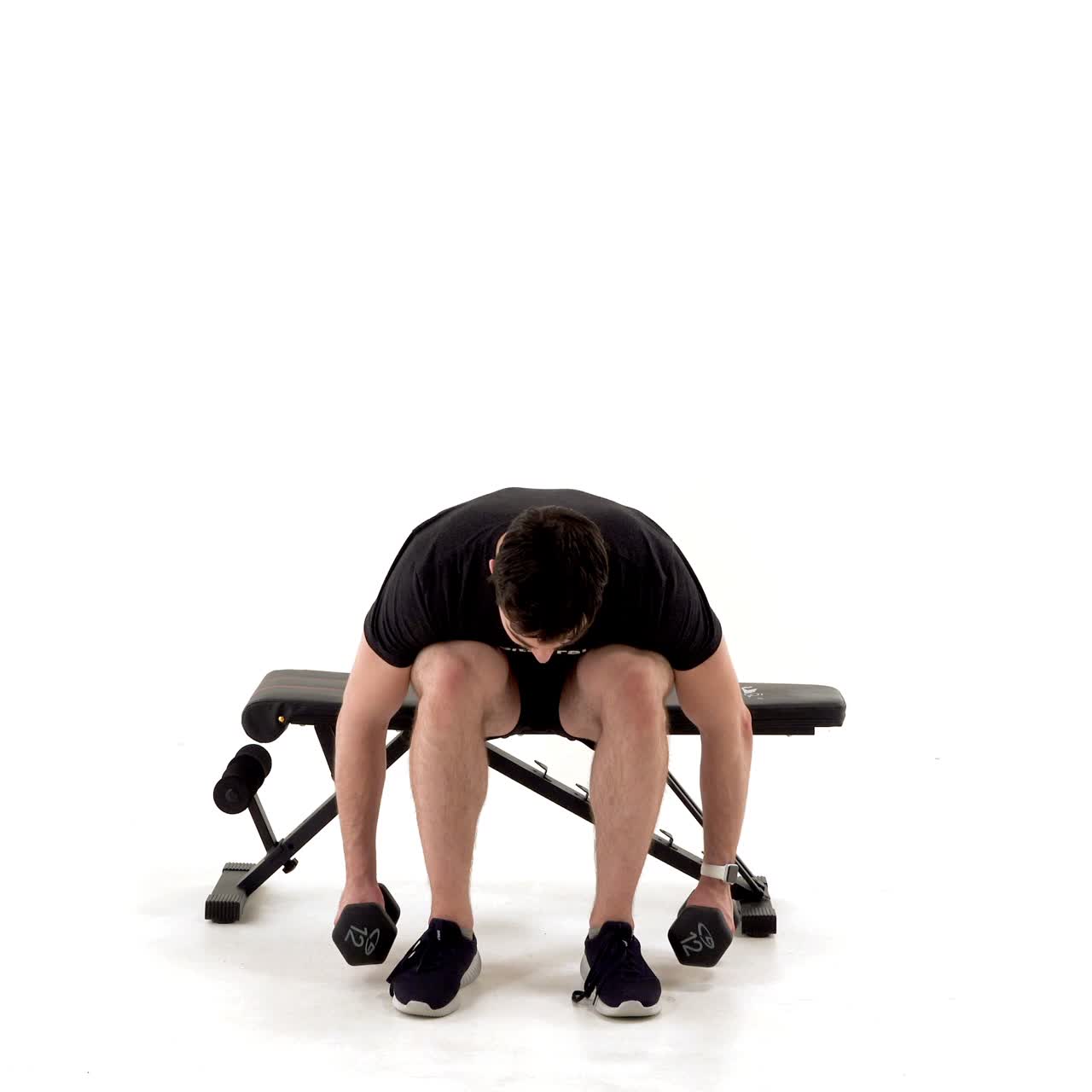 Seated Dumbbell Reverse Fly with trainwell